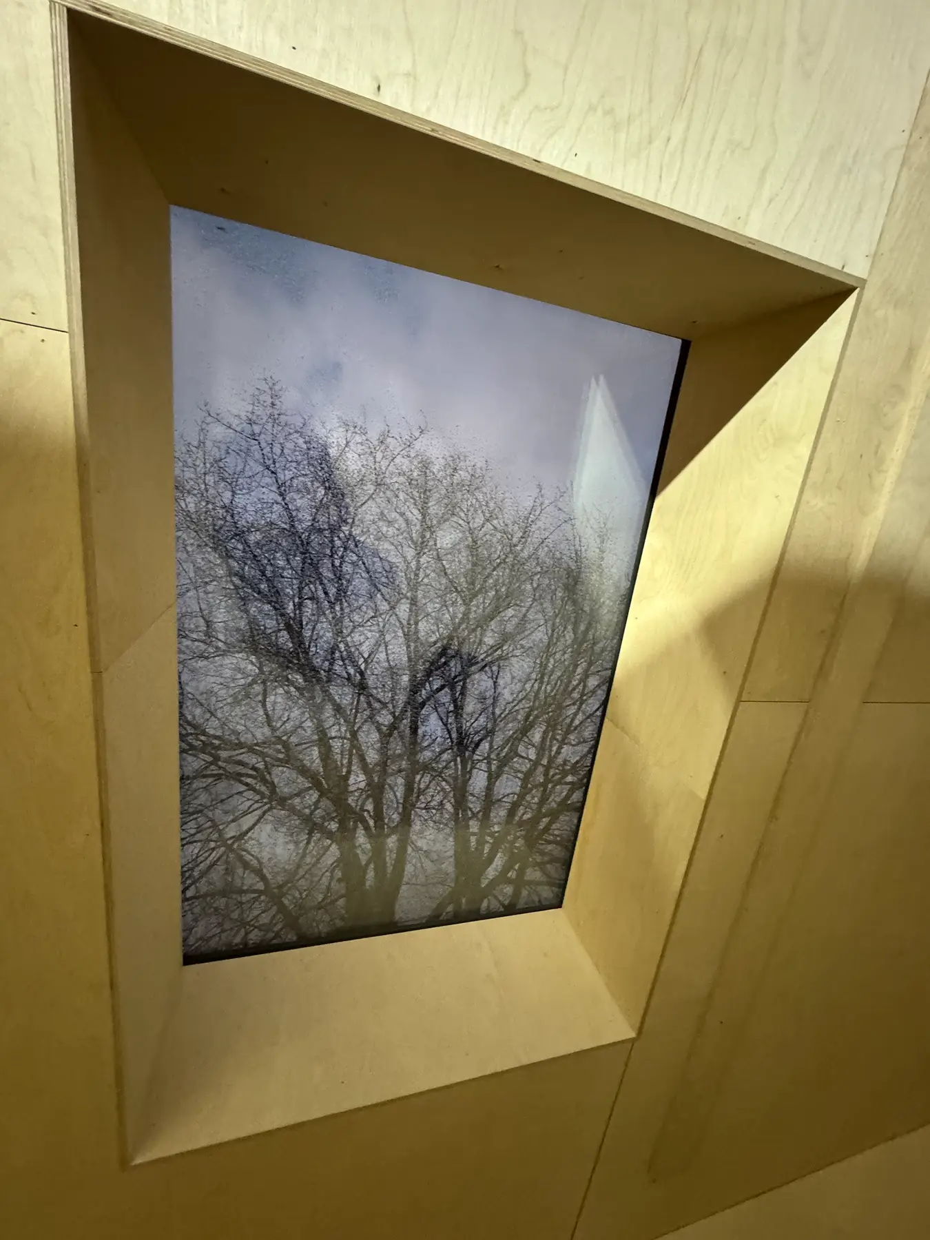 Dakraam met houten omlijsting en uitzicht op een boom.